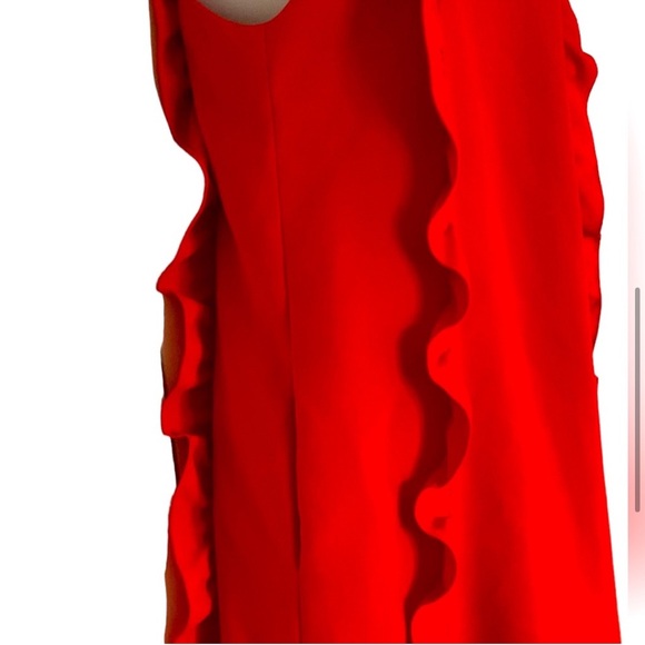 Ted Baker Ruffle Dress - Picture 6 of 7